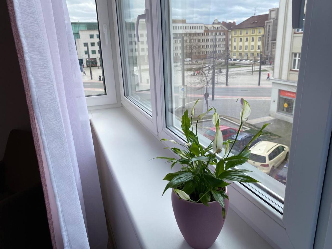 Ferienwohnung Perla Hradce 302 Hradec Králové Exterior foto